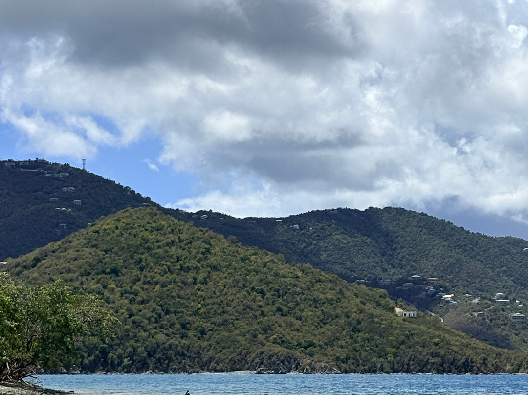 Dockside Dinghy-Coral Bay必去景点