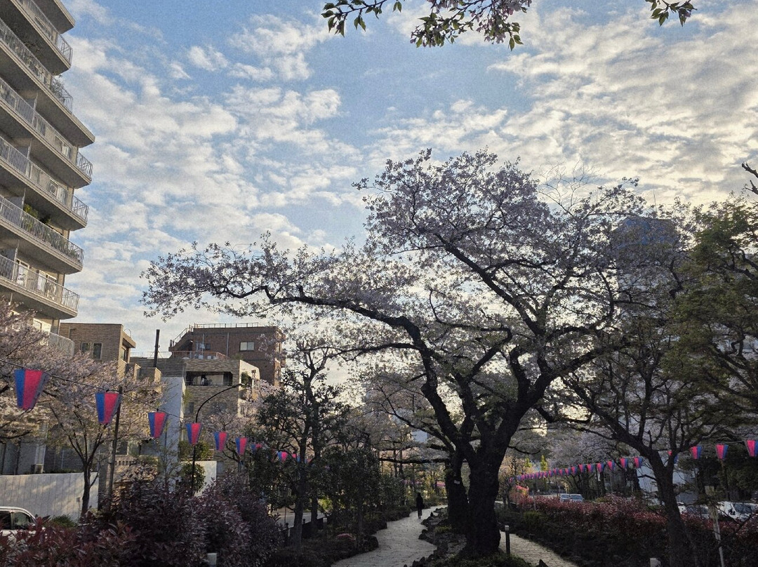Harimazaka (Harima Slope)-文京区必去景点