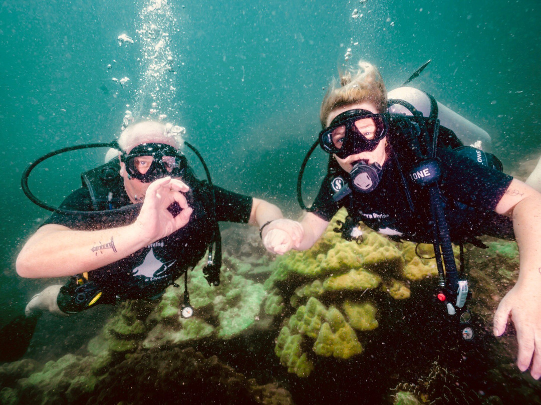 Forra Diving - Day Tour-丽贝岛必去景点