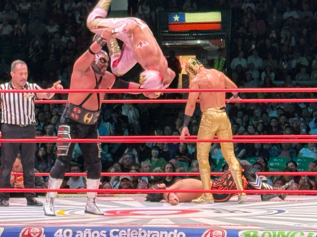 Estigo Tours-墨西哥城必去景点