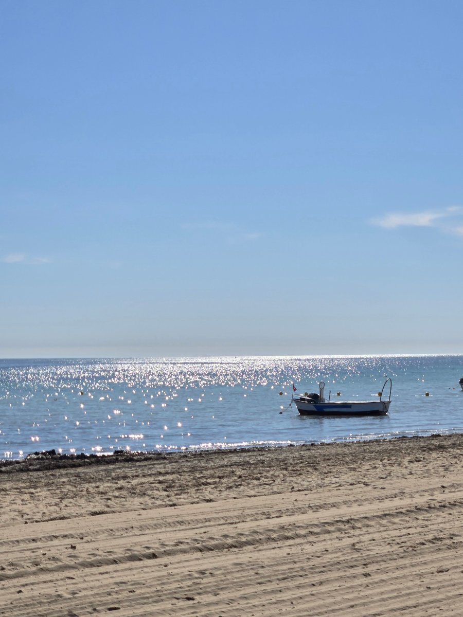 欧德赛海水浴场度假村-官方