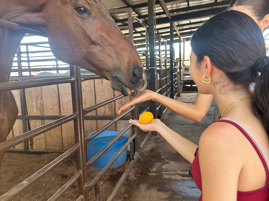 Finca La Esperanza-萨迪纳尔必去景点