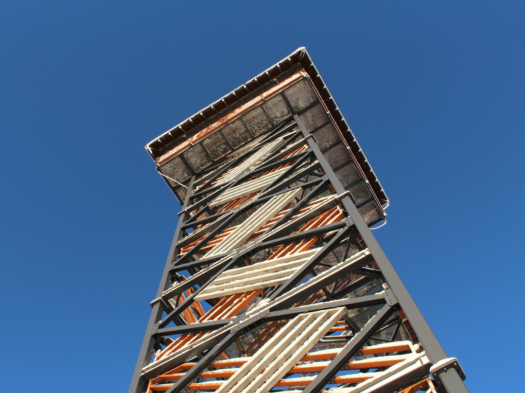 Delinkalns Watchtower-Aluksne必去景点
