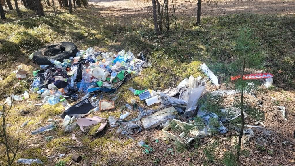 Jurajski Krysztal主图