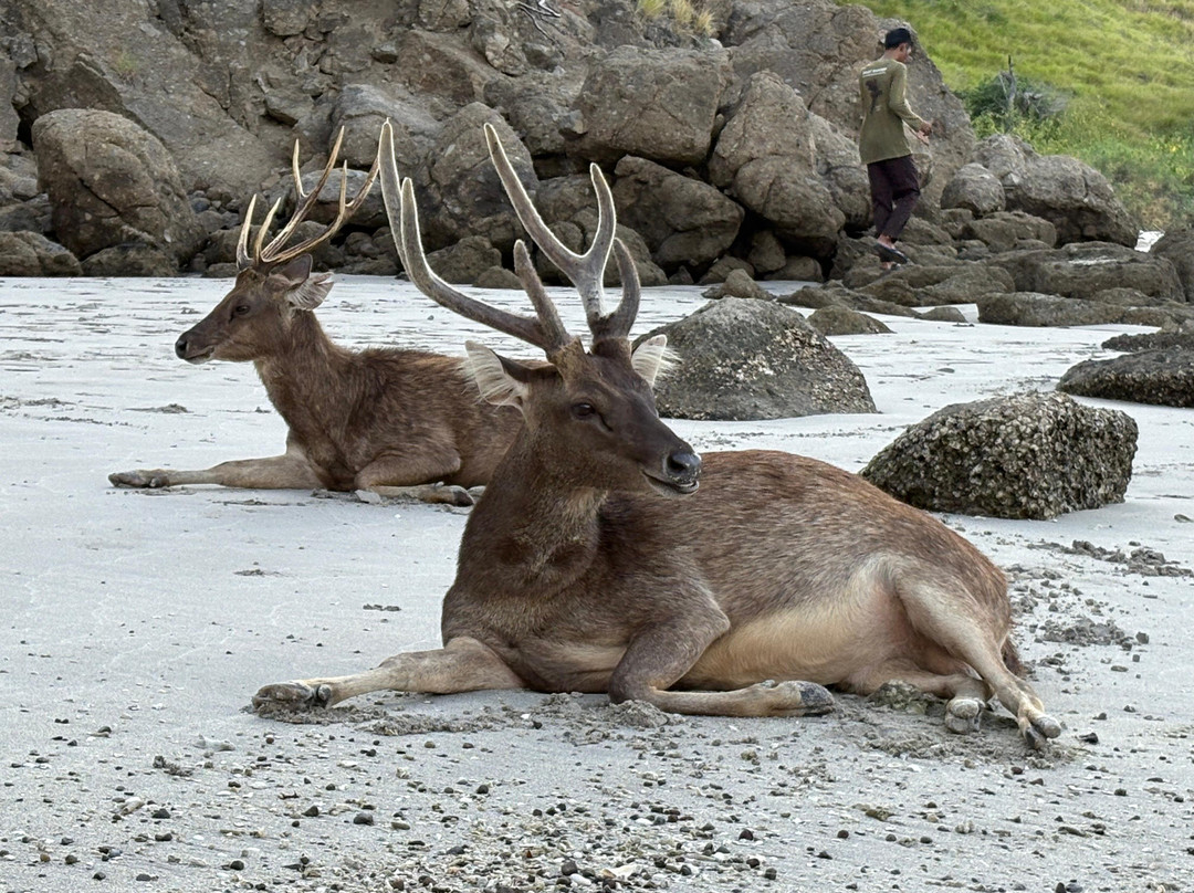 East Indonesia Trip-Labuan Bajo必去景点
