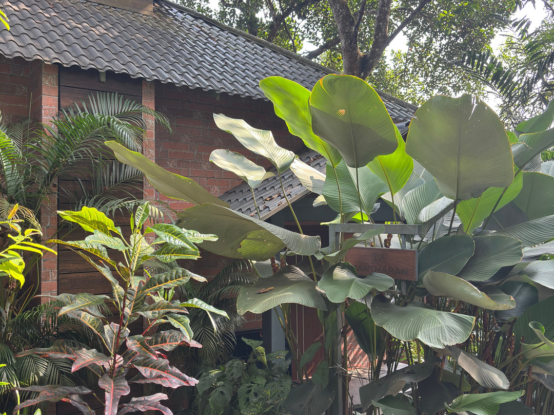 慕那尔大象通道度假村主图