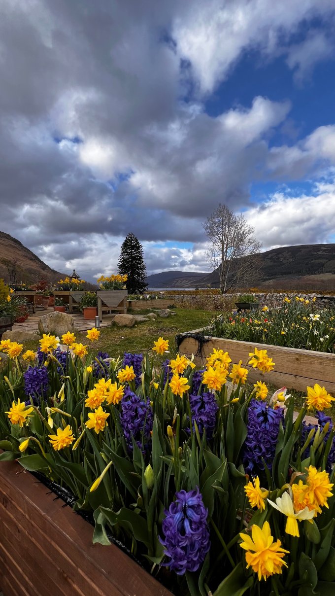 Clachan Garden B&B-旅行者