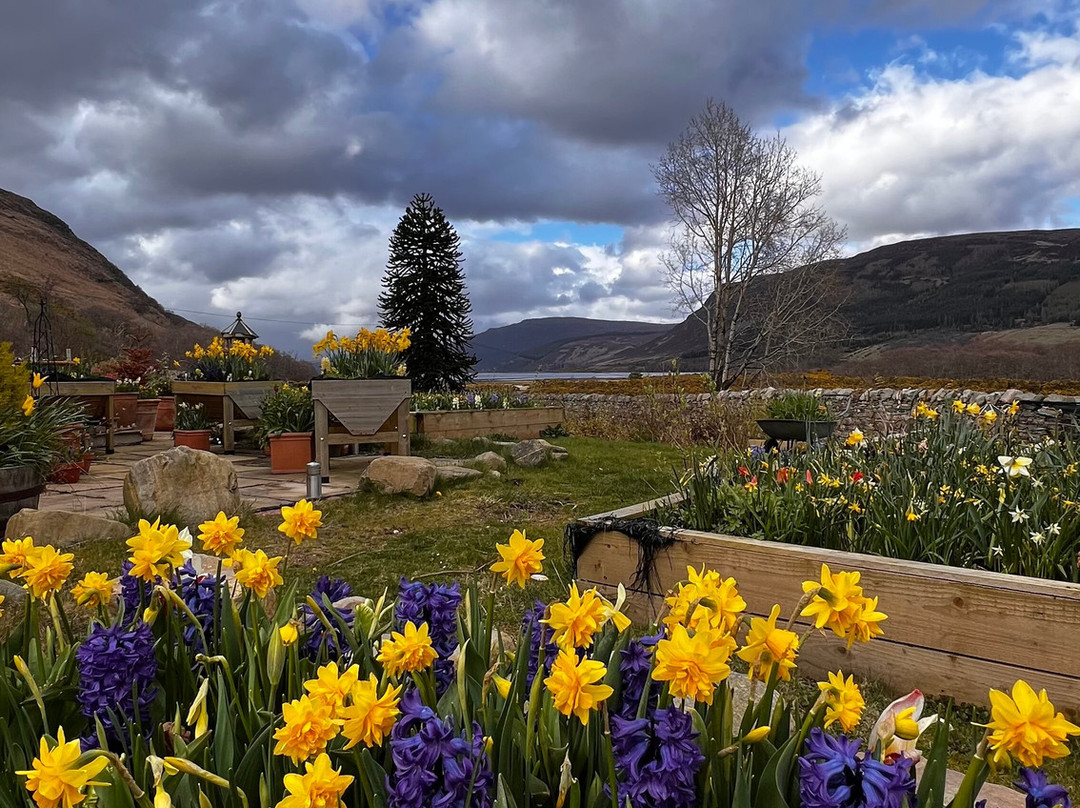 Clachan Garden B&B主图