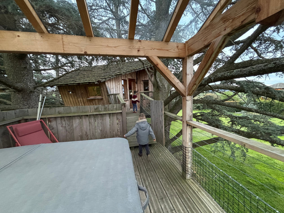 Domaine des Grands Cèdres主图
