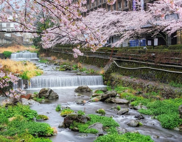箱根汤本温泉天成园酒店-旅行者