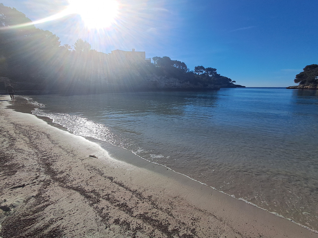 Plage Cala D'or-卡拉多尔必去景点
