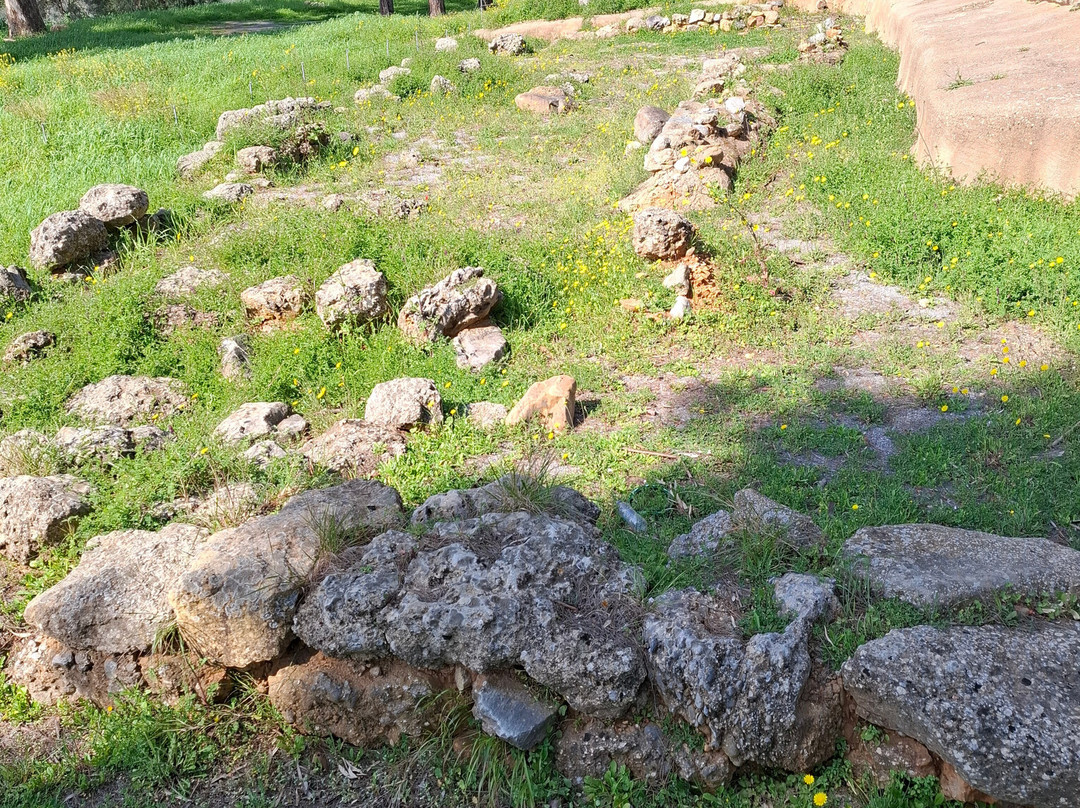 Archaeological Site of the Acropolis of Sparta-Sparta必去景点