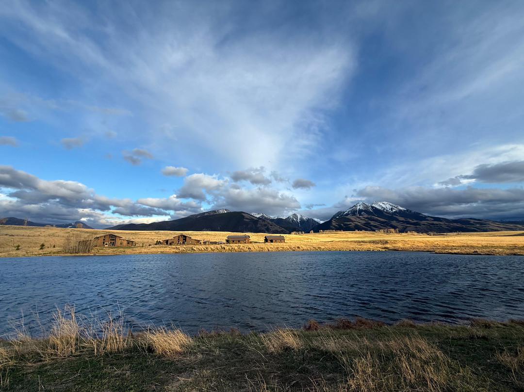 鼠尾草山林小屋主图