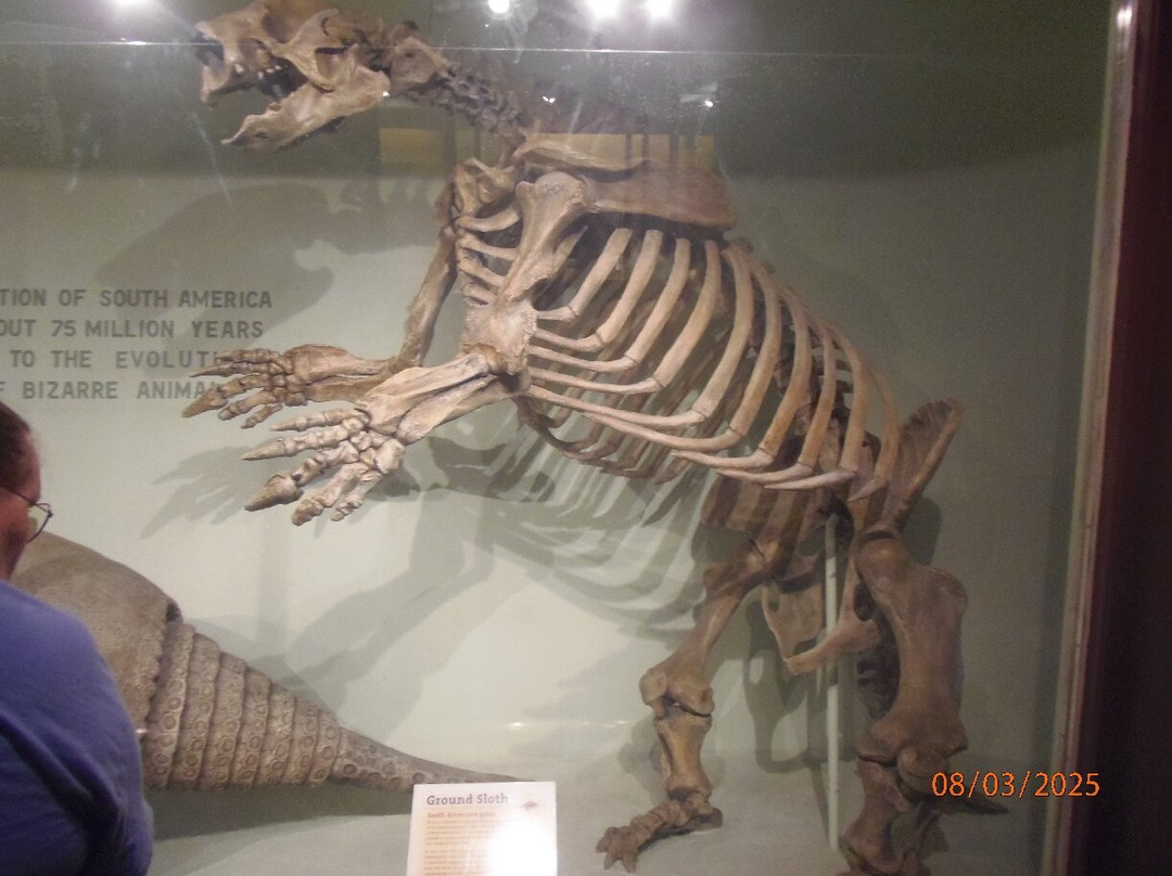 Harvard Museum of Natural History-剑桥必去景点