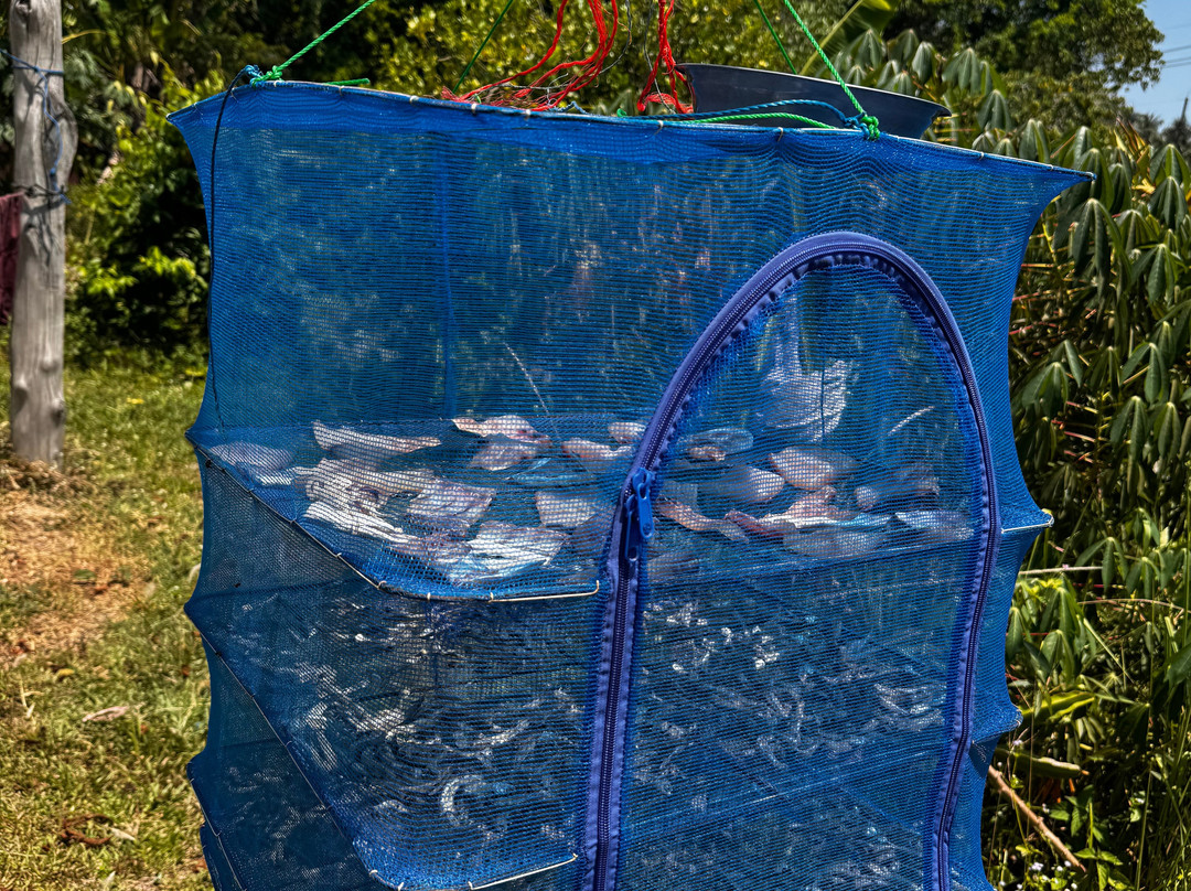 Our Magical Thailand-阁耀亚伊岛必去景点