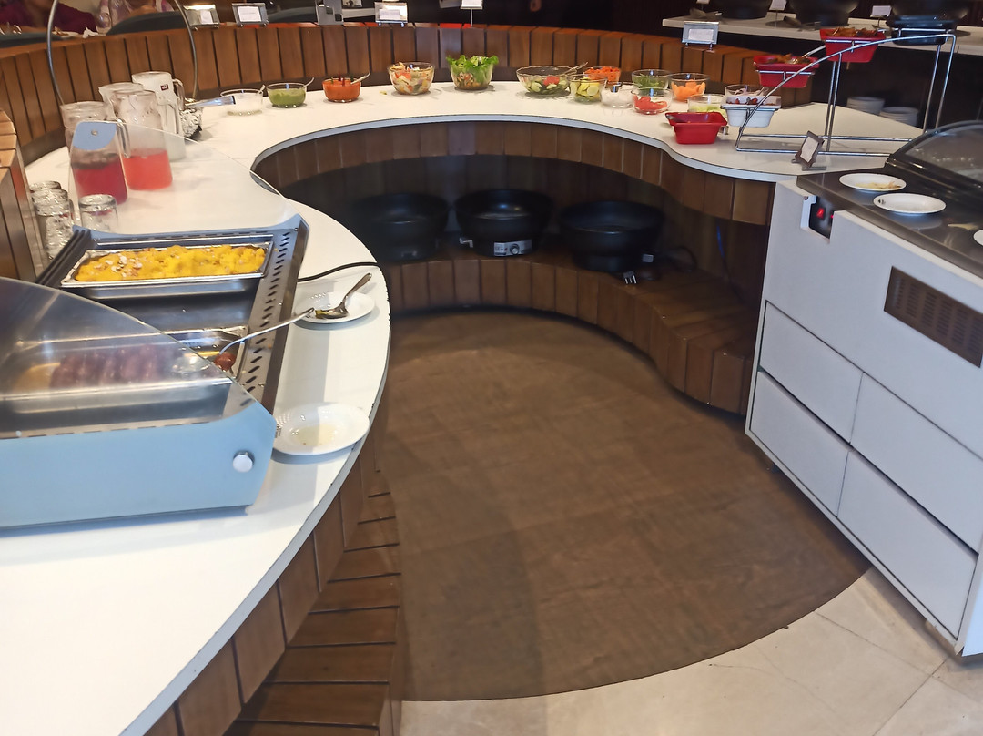 斯里纳格雪地酒店主图