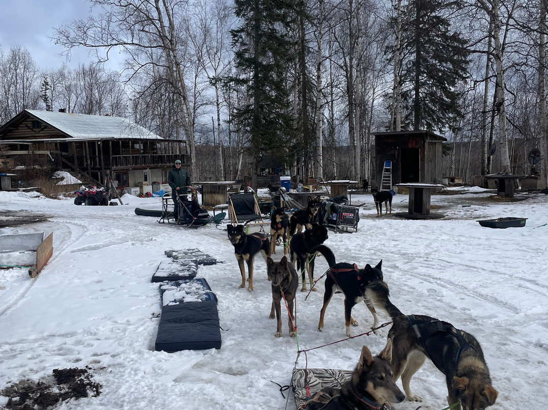 The Alaska Dogstead Mushing Company-Big Lake必去景点