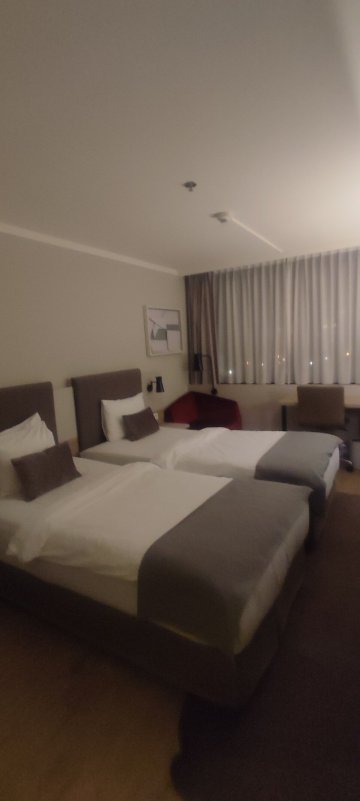 法兰克福国会皇冠假日酒店-旅行者