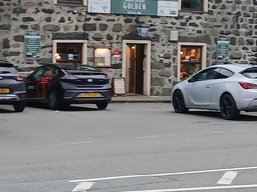 金色的羊毛酒店主图