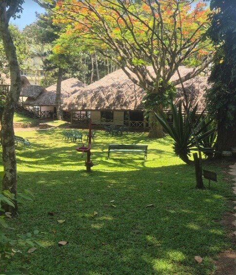 香料村CGH土地酒店-旅行者