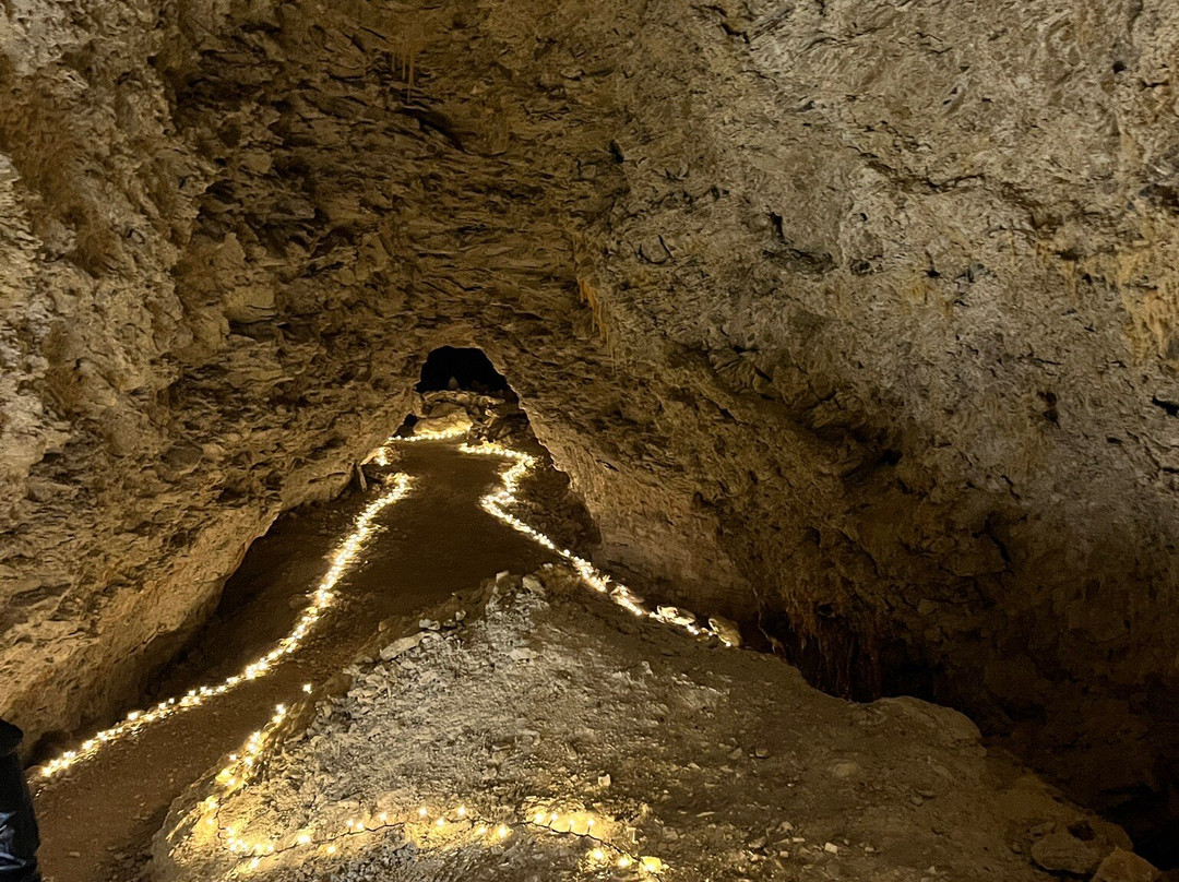 Kaikōura Cave Tours-Kaikoura必去景点