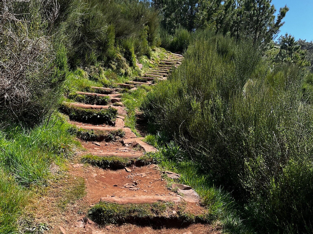 Madeira Wonder Hikes-沙尔必去景点