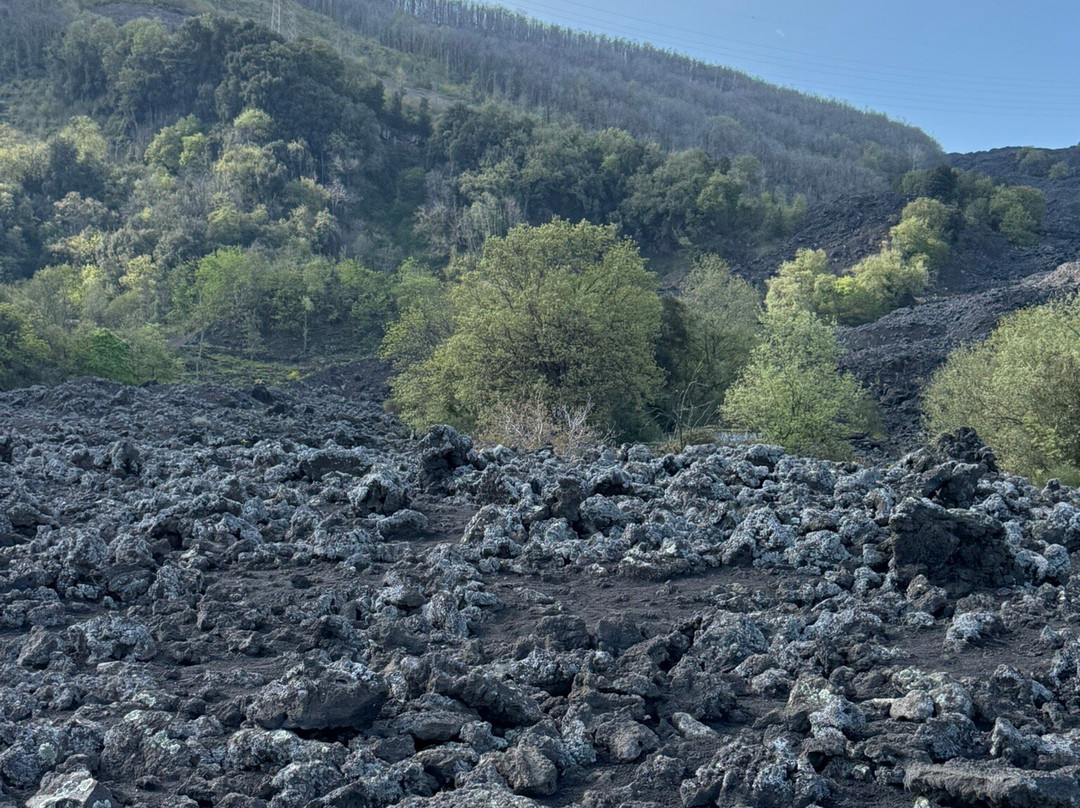 Etna and Sea Excursion-卡塔尼亚必去景点