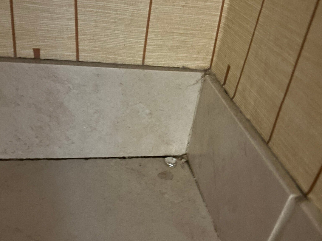 Holiday Inn 挪利其主图