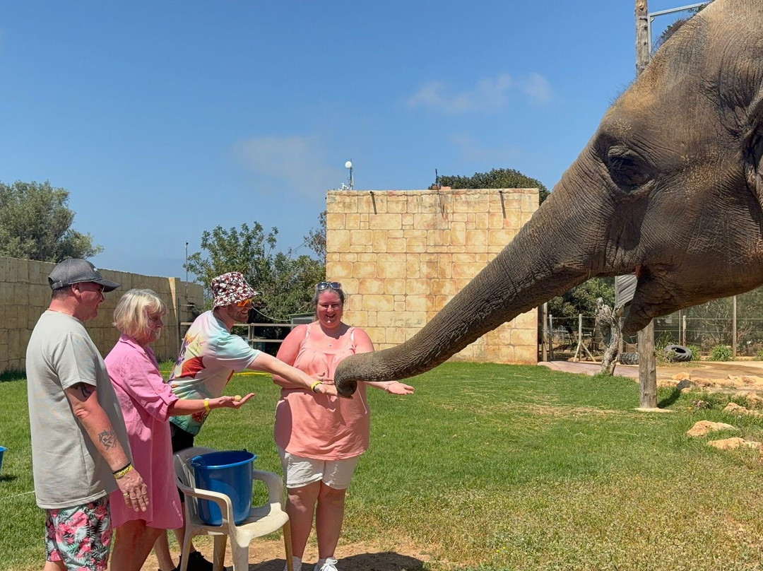 Pafos Zoo-帕福斯必去景点