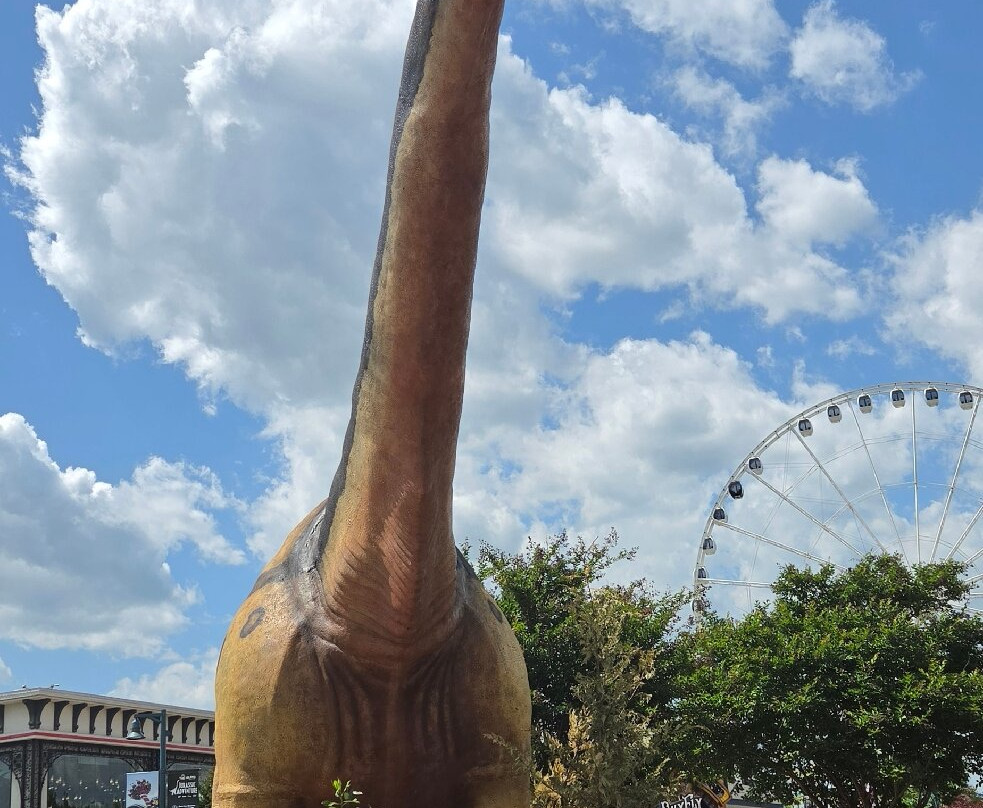 The Island in Pigeon Forge-皮金福奇必去景点