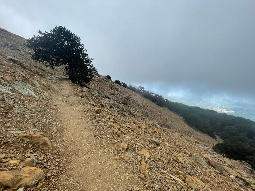 Artemis Nature Trail-特罗多斯必去景点