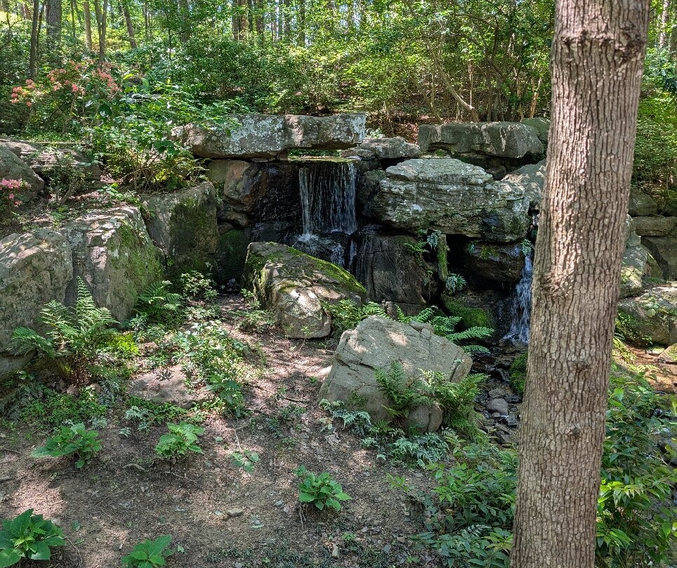 Garvan Woodland Gardens-温泉城必去景点