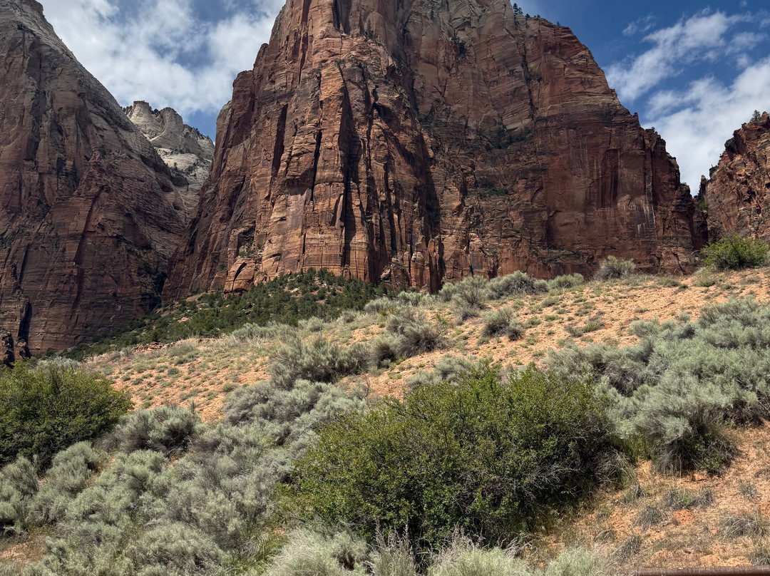 Canyon Trail Rides-锡安国家公园必去景点