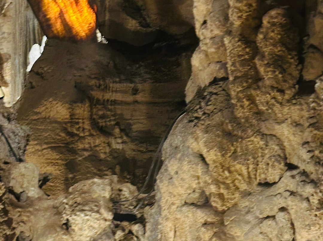 Rickwood Caverns State Park-Warrior必去景点