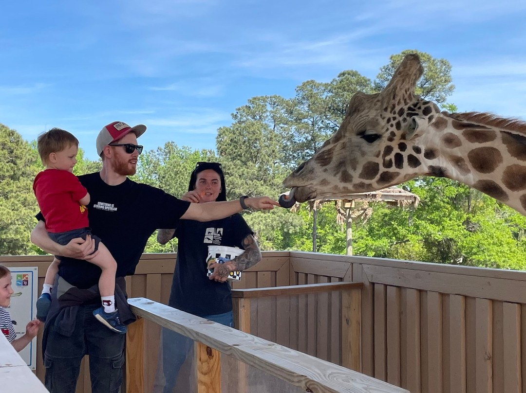 Broadway Zoological Park-Broadway必去景点