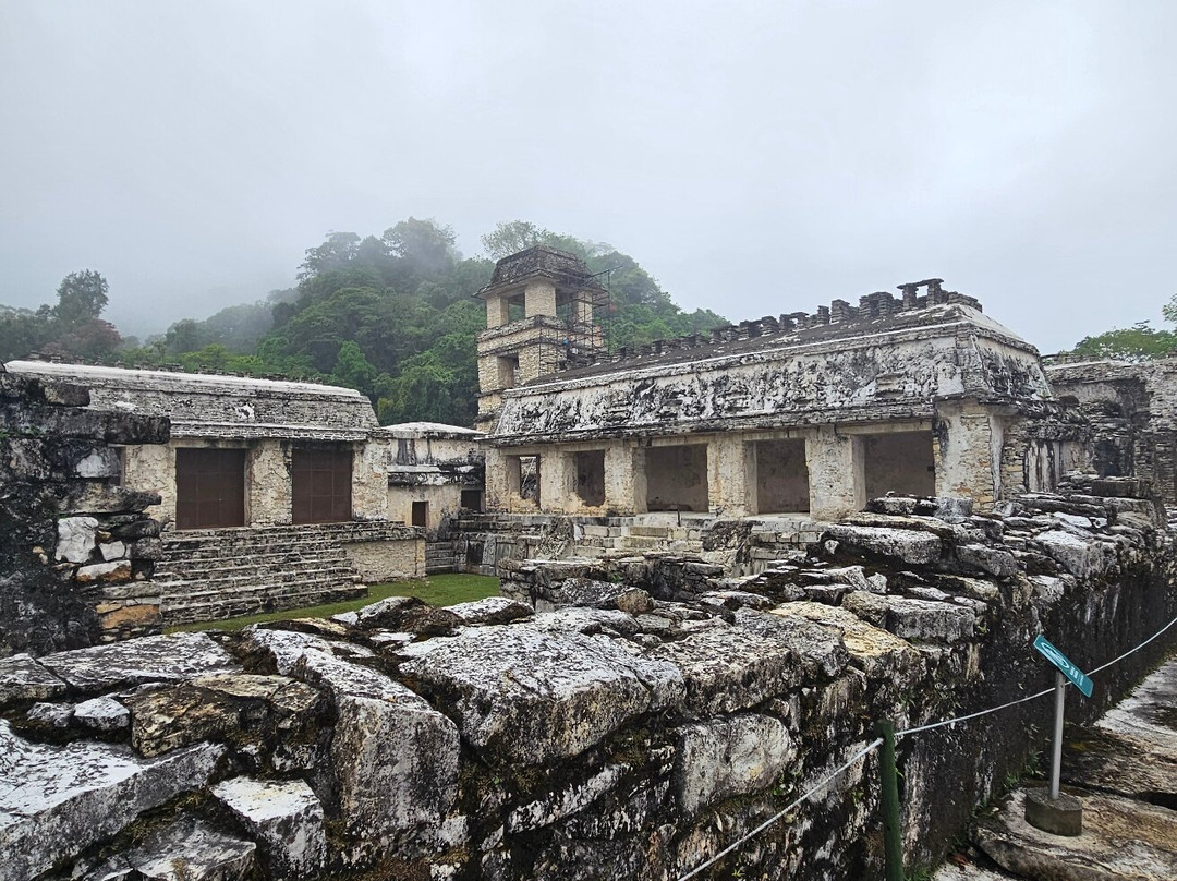 Zona Arqueologica de Palenque-帕伦克必去景点