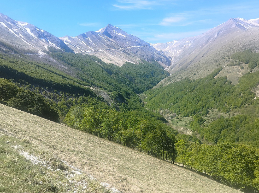 Bolognola Ski-Bolognola必去景点