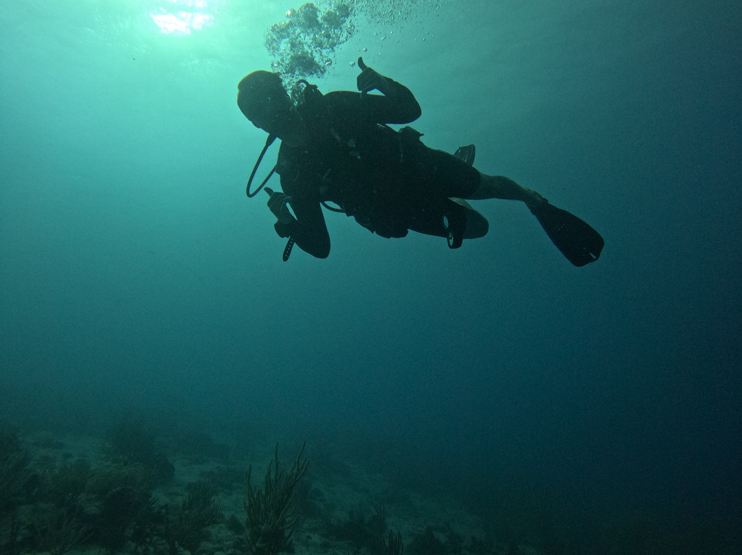 JADS Dive Center-San Nicolas必去景点