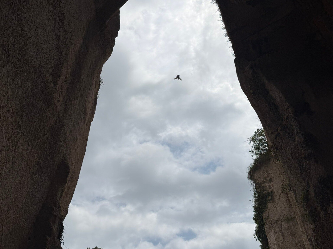 Ear of Dionysius-锡拉库扎必去景点