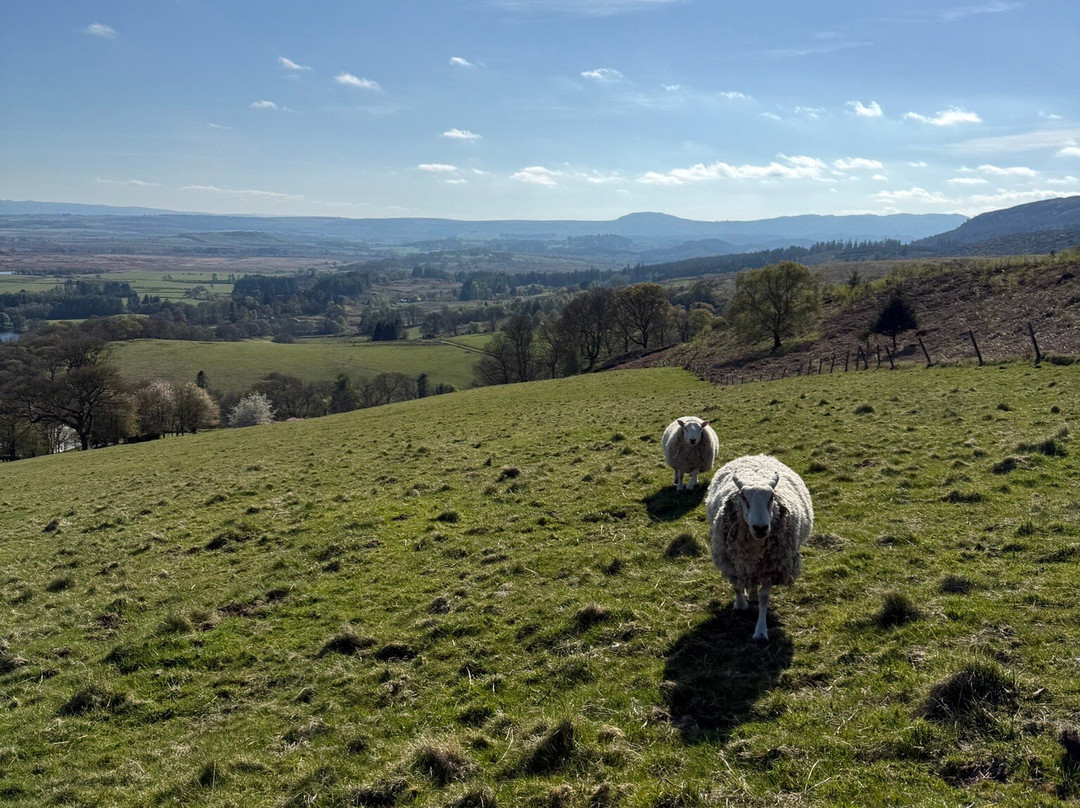Nether Glenny Farm - Coos and Views-斯特灵必去景点