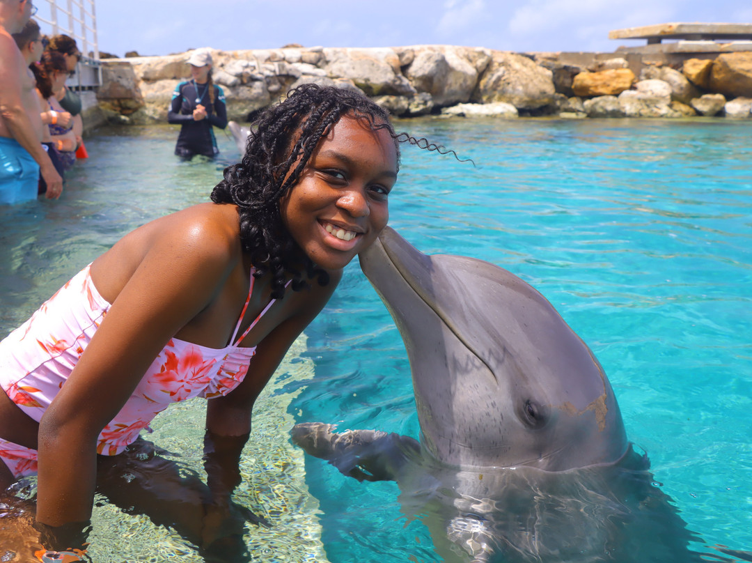 Curaçao Sea Aquarium-威廉斯塔德必去景点