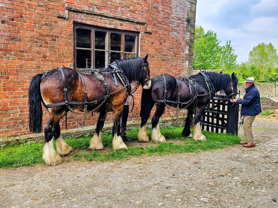 Acton Scott Heritage Farm-Acton Scott必去景点