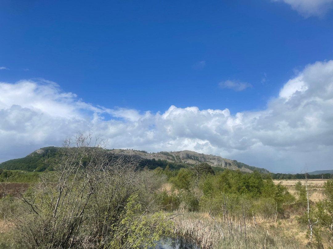 Foulshaw Moss Nature Reserve-肯德尔必去景点