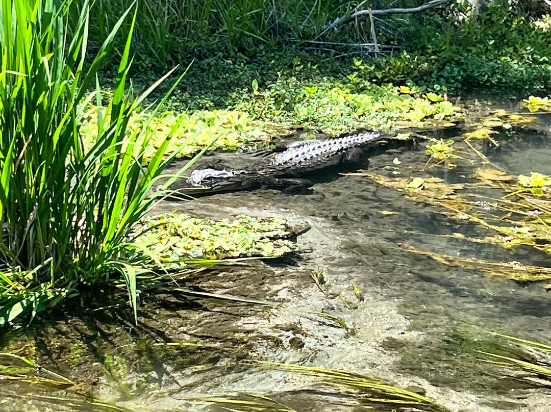 Ichetucknee Springs State Park-Fort White必去景点