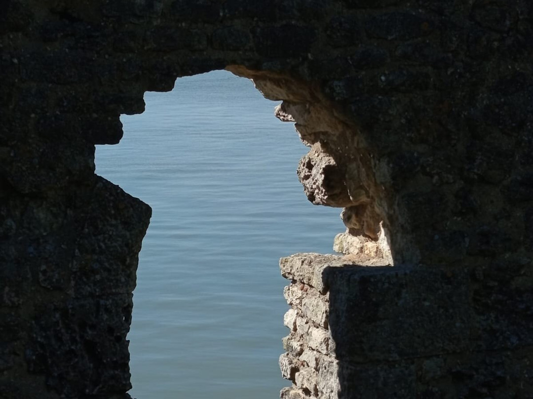 Grottes du Régulus-Meschers-sur-Gironde必去景点
