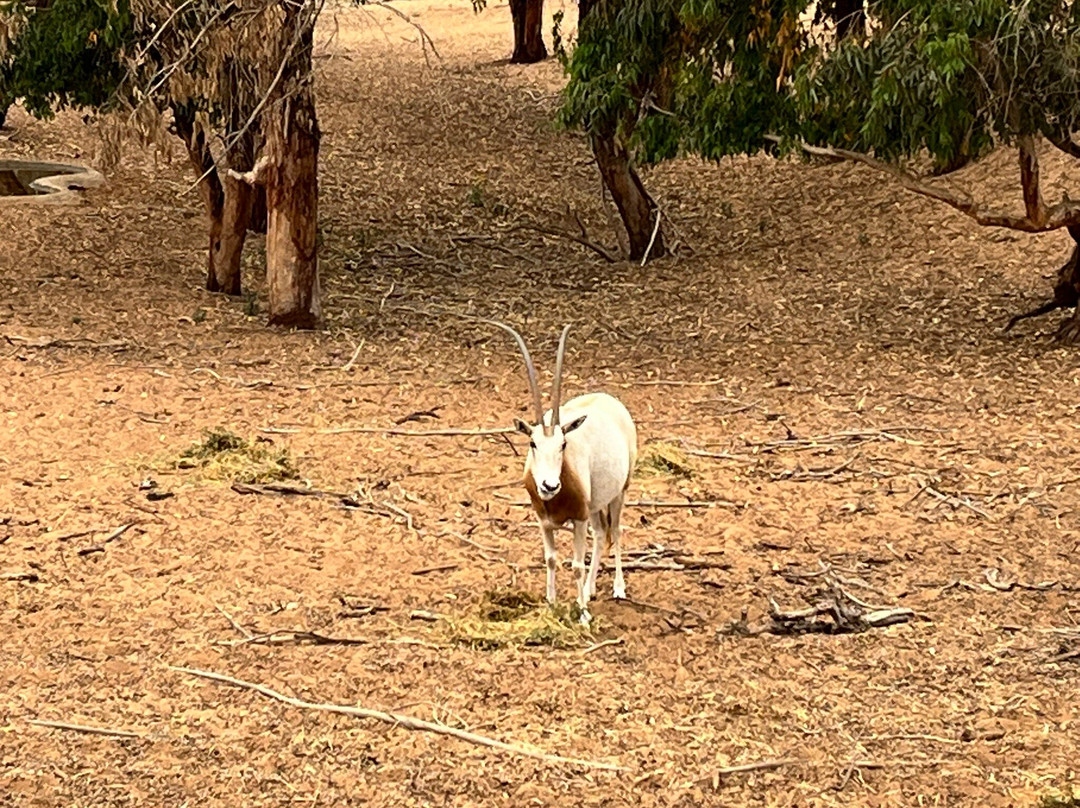 Parc Nacional de Souss-Massa-Takate必去景点