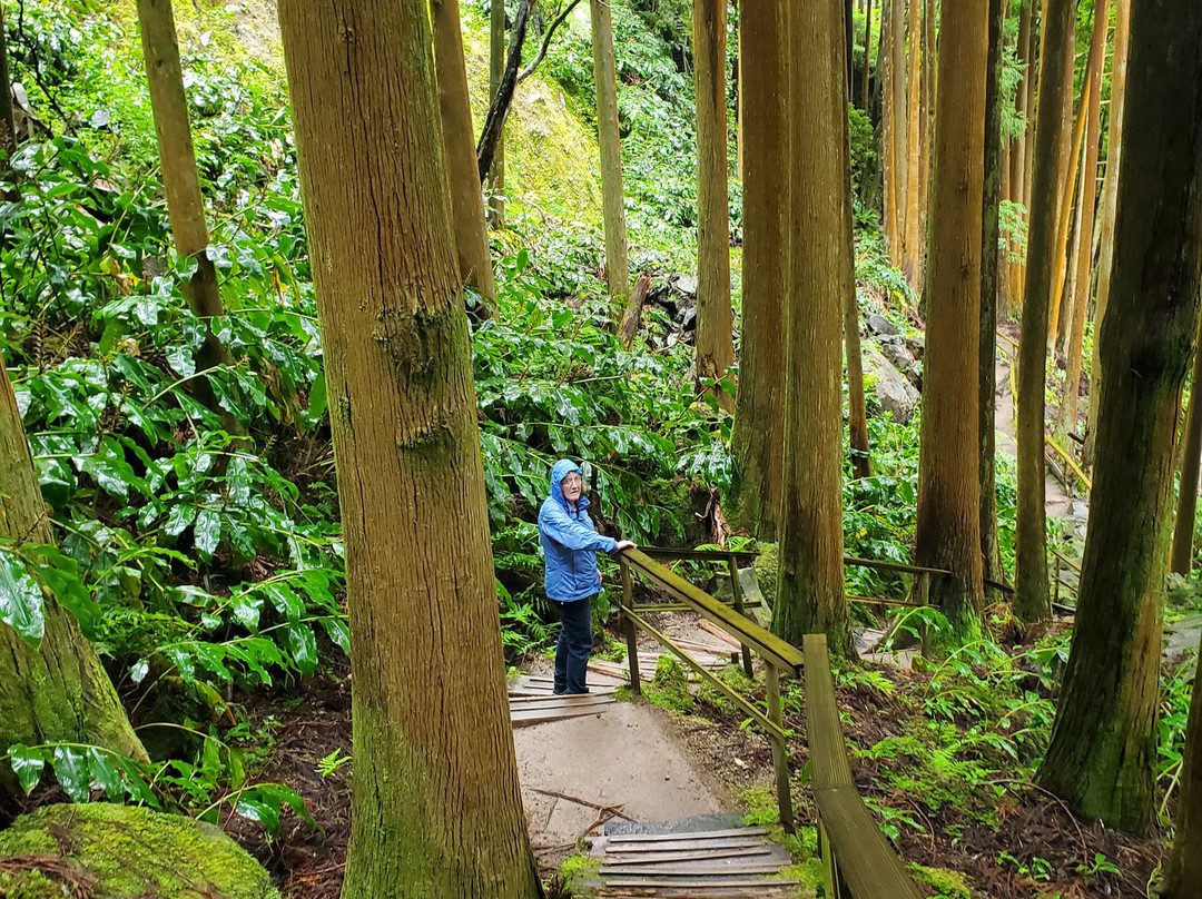 Parque da Grená-富尔纳斯必去景点