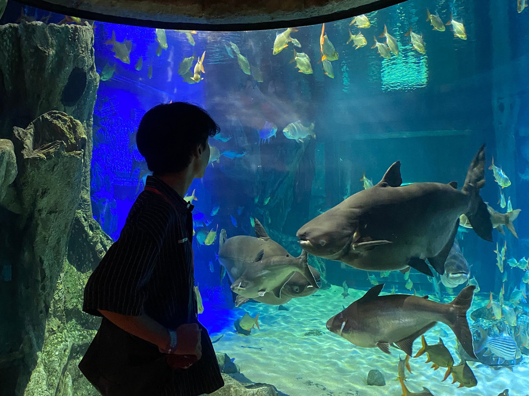 Angkor Wildlife & Aquarium-暹粒必去景点