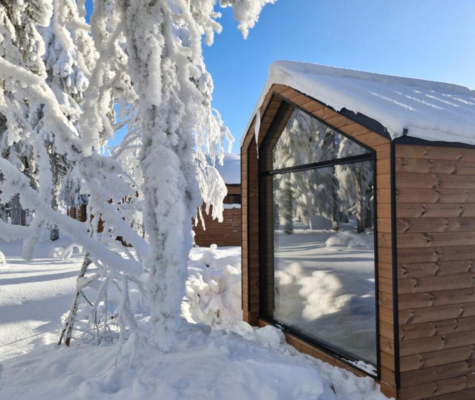 Arctic Nest