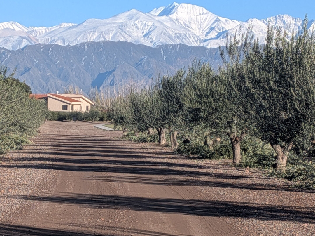 Finca Bandini-路冉得库约必去景点